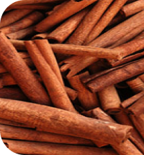 cinnamon
